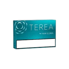 Terea Turquoise AM